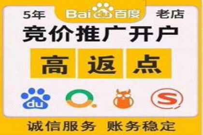 某某SEM团队成功案例：广告投放策略揭秘
